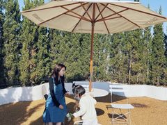 -Blue Concept Cafe&Farm·關於藍