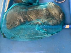 -香满锅老北京羊蝎子火锅·家常菜(新街口店)