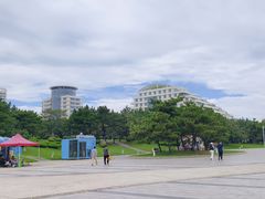 -日照灯塔风景区