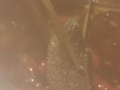 -酒友老火锅(渝中店)