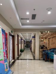 -碧莲盛·不剃发植发