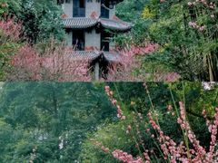 -成都杜甫草堂博物馆