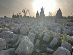 -原山国家森林公园