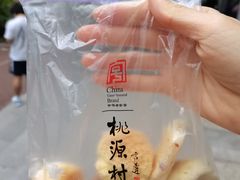 -桃源村(南大店)