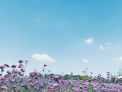 -杭州城北体育公园