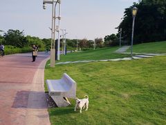-深圳湾公园(南山区)