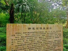 -上海方塔园