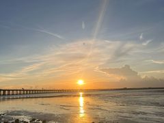 -宝安西湾红树林湿地公园