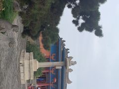 -洛阳古墓博物馆