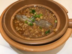 -金春禧(世茂国际广场店)