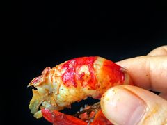 -盒马鲜生(莱蒙都会店)