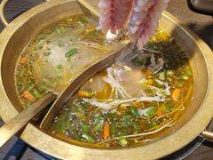 -土著渔匠·养生蝴蝶鱼(香樟路店)