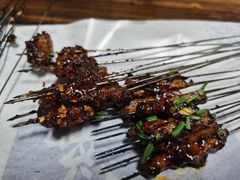 山养小猪肉-老贵阳树下铁签烤肉(大十字店)