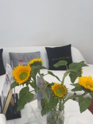 -WENDY·温迪皮肤管理