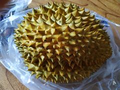 -顺鑫石门市场