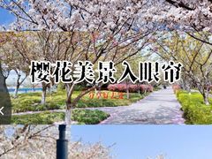 -高东镇樱花园