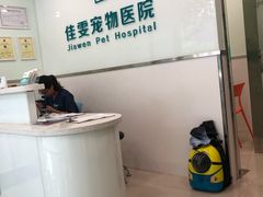 -佳雯宠物医院