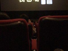 放映厅-嘉华国际影城(学清路店)