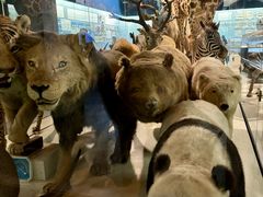 -浙江自然博物院(杭州馆)