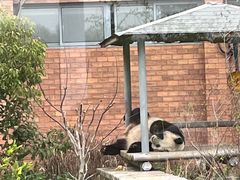 -苏州太湖国家湿地公园