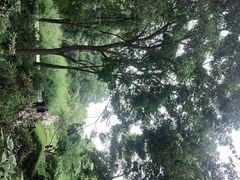 -成都市活水公园