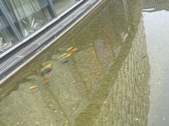 -北京园博大酒店