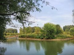 -淇河国家湿地公园