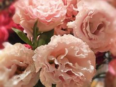 -深圳威尼斯英迪格酒店