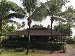 -椰树岛海滩度假村