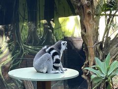 -可伦宾野生动物保护区