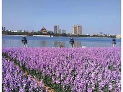 -顺峰山公园