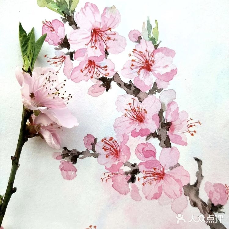 你的桃花来了吗[亲亲]
