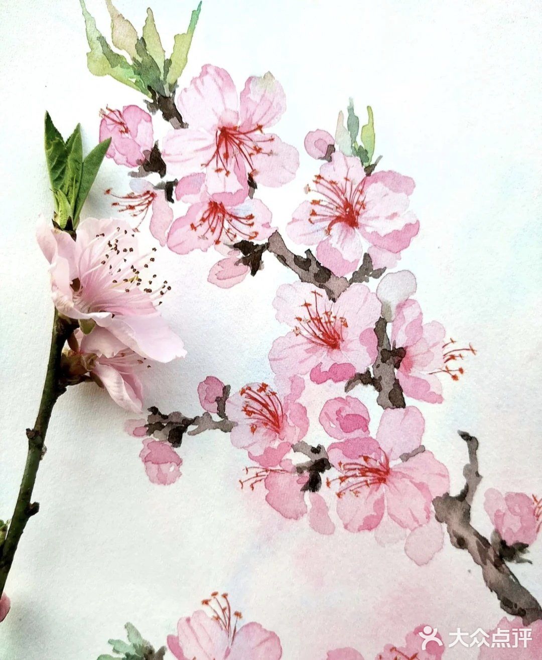 你的桃花来了吗[亲亲]