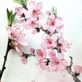 你的桃花来了吗[亲亲]