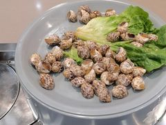 花螺-大橘元自助回转火锅(天河新天地店)