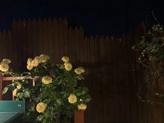 -萨芭蒂高空花园餐酒吧