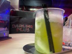 -Darling Queen·Mini·Live·House