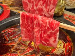 -蜀大侠火锅(总府路店)