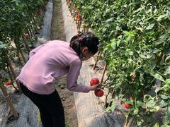 -小鱼草莓采摘园农家乐·小鱼餐厅