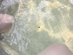 -三江森林温泉度假区