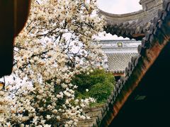 -龙华寺