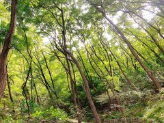-封龙山风景区