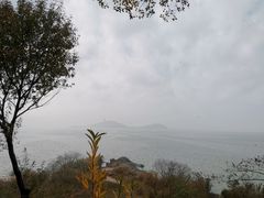 -上海市保健医疗中心