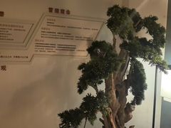 -新盈光·云会所(百丈东路店)