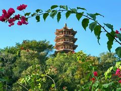 -深圳仙湖植物园