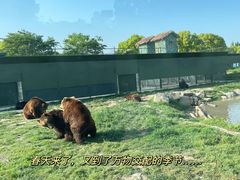 -上海野生动物园