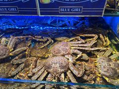 -驻海渔市(置信店)