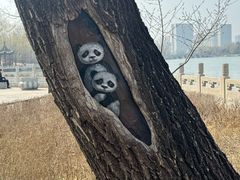 -迎泽公园