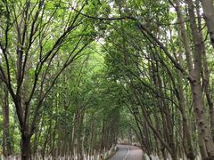 -艾溪湖湿地公园