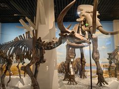 -国家自然博物馆